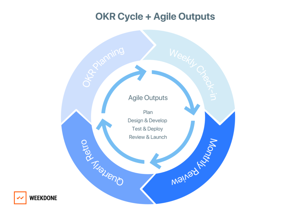 敏捷OKR:项目管理中使用敏捷输出方法的OKR周期